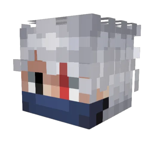 Aidan731 Minecraft avatar head, 3D render