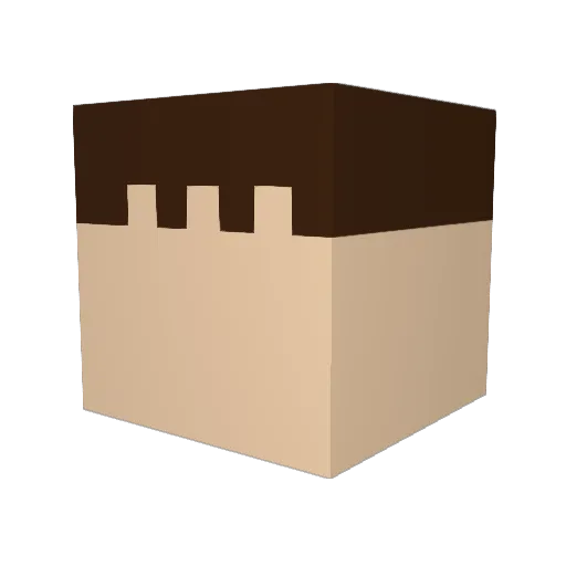 Aidan Minecraft avatar head, 3D render