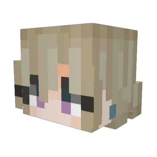 AidanJett Minecraft avatar head, 3D render
