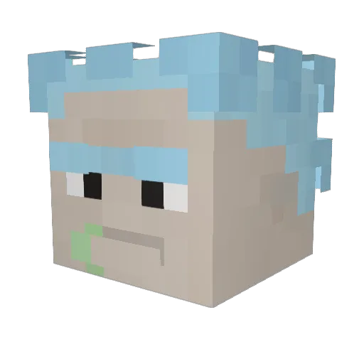 AidanM1408 Minecraft avatar head, 3D render
