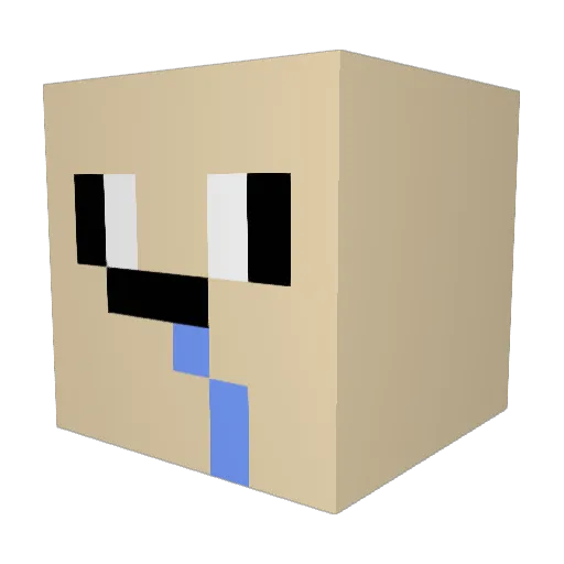 Aidan_227 Minecraft avatar head, 3D render
