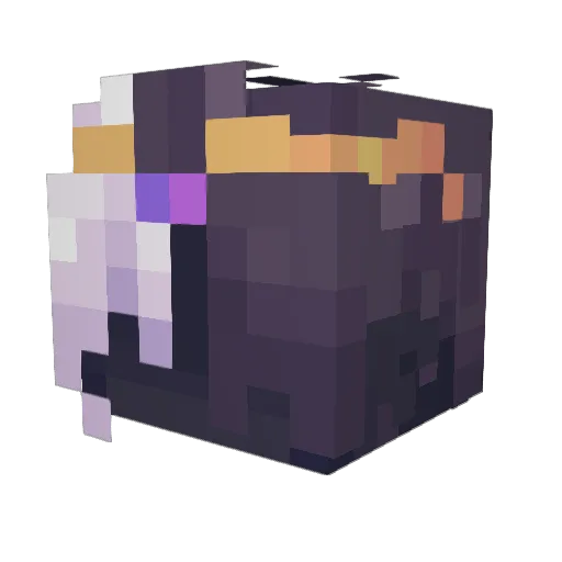 Aidangodzilla500 Minecraft avatar head, 3D render