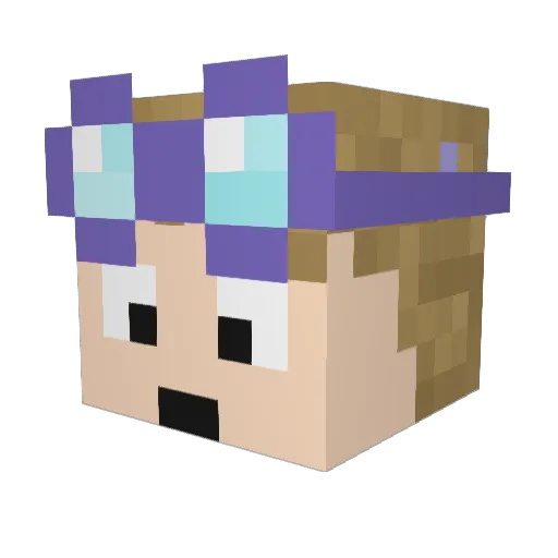 Aidanispoo Minecraft avatar head, 3D render