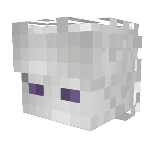 Aidannishere Minecraft avatar head, 3D render