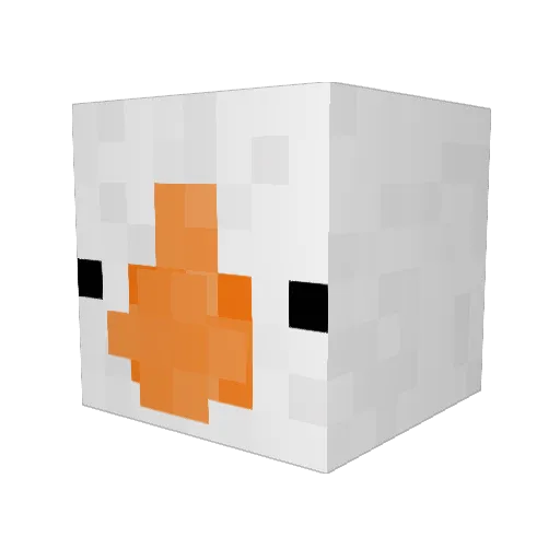 Aidanny Minecraft avatar head, 3D render