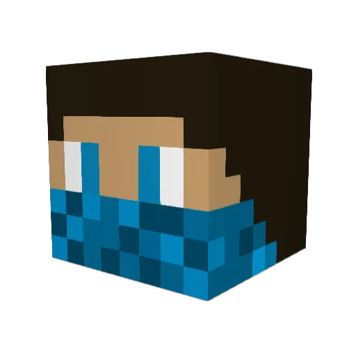 Aidas9738 Minecraft avatar head, 3D render