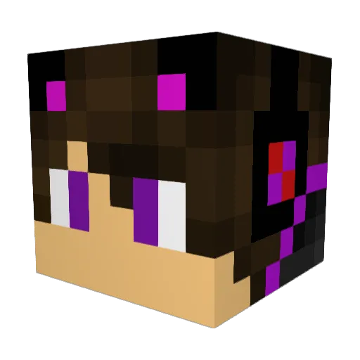 Aidatrons Minecraft avatar head, 3D render