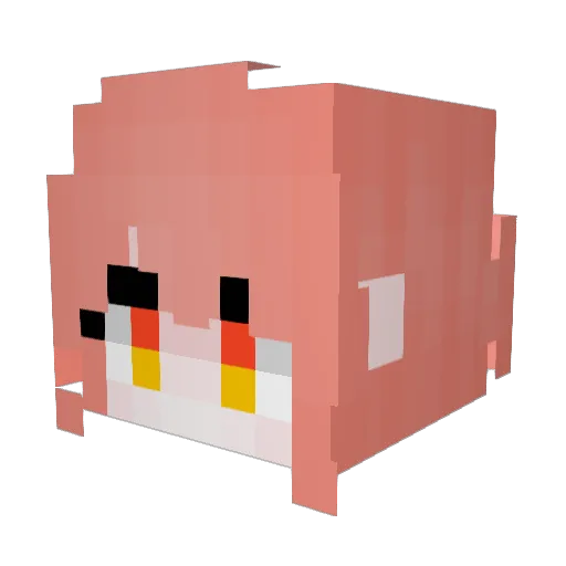 AidedCaribou976 Minecraft avatar head, 3D render