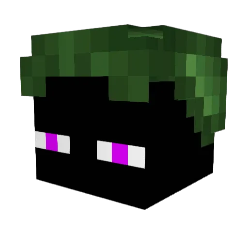 AidedWings15241 Minecraft avatar head, 3D render