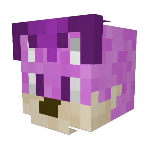 Aiden060307 Minecraft avatar head, 3D render