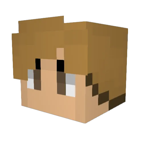 Aiden0915 Minecraft avatar head, 3D render