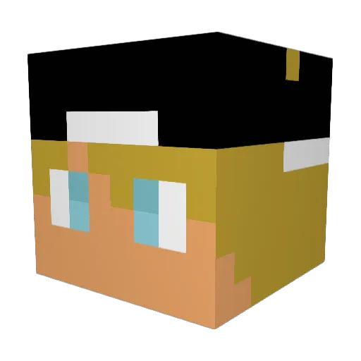 Aiden11B Minecraft avatar head, 3D render