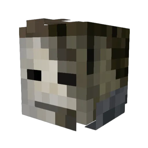 Aiden514 Minecraft avatar head, 3D render