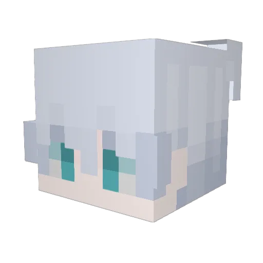 Aiden81 Minecraft avatar head, 3D render