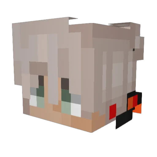AidenAfterlife Minecraft avatar head, 3D render
