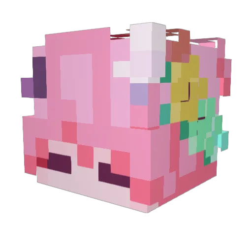 AidenDoesGaming Minecraft avatar head, 3D render