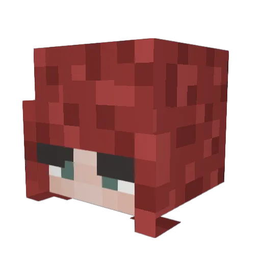 AidenIsHot Minecraft avatar head, 3D render