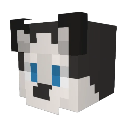 AidenKwest Minecraft avatar head, 3D render