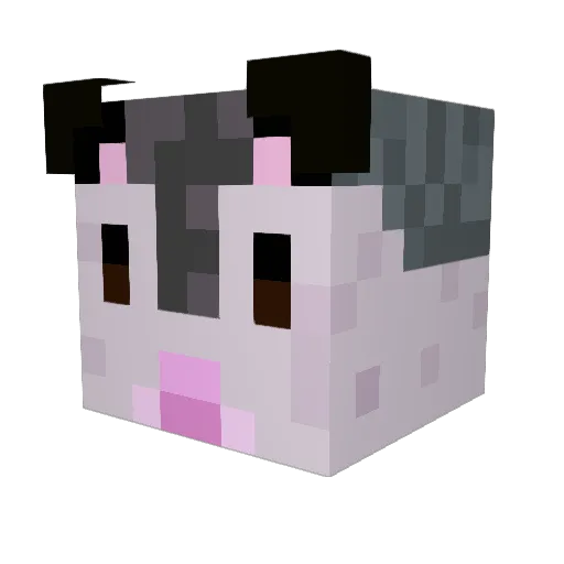 AidenLake55 Minecraft avatar head, 3D render