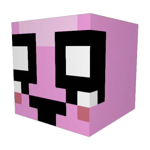 AidenMidd Minecraft avatar head, 3D render