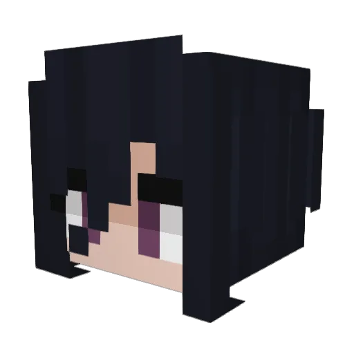 Aiden_76 Minecraft avatar head, 3D render