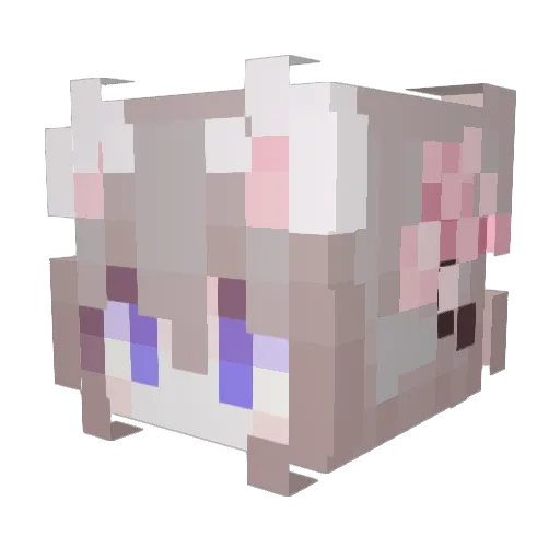 Aiden_Lim Minecraft avatar head, 3D render