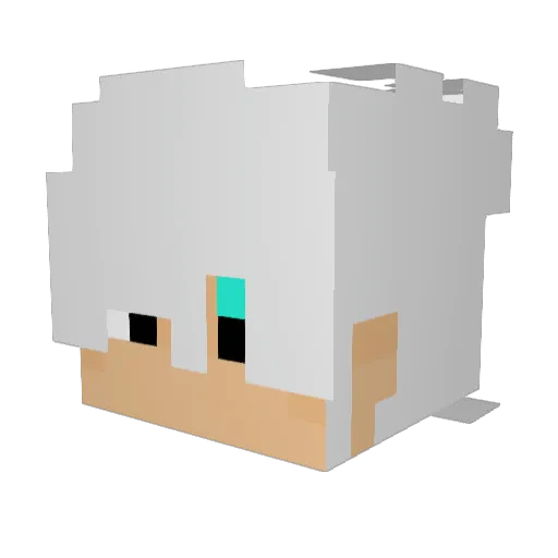 Aiden_Reed Minecraft avatar head, 3D render