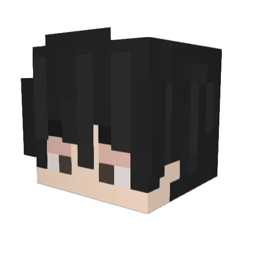 Aiden_ig Minecraft avatar head, 3D render