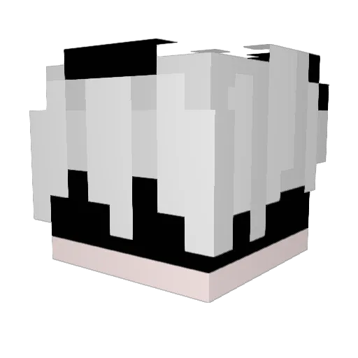 Aiden_wells Minecraft avatar head, 3D render