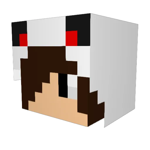 Aidenator95 Minecraft avatar head, 3D render