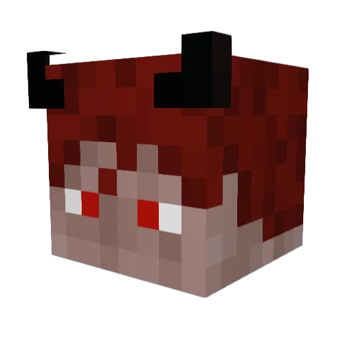 Aidenblaze14 Minecraft avatar head, 3D render