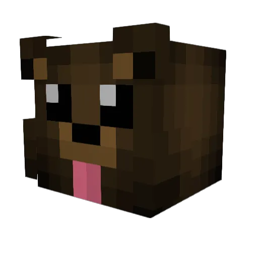 Aidenleewolf Minecraft avatar head, 3D render