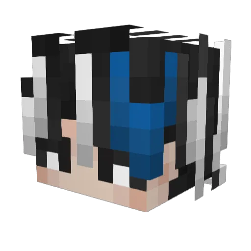 Aidennzy Minecraft avatar head, 3D render