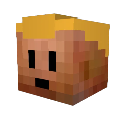 Aiderak Minecraft avatar head, 3D render
