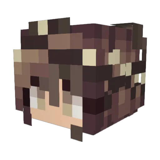 Aidii Minecraft avatar head, 3D render