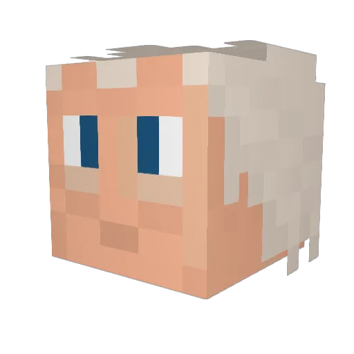 Aids11 Minecraft avatar head, 3D render