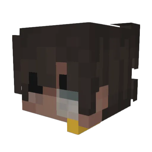Aidsyy Minecraft avatar head, 3D render