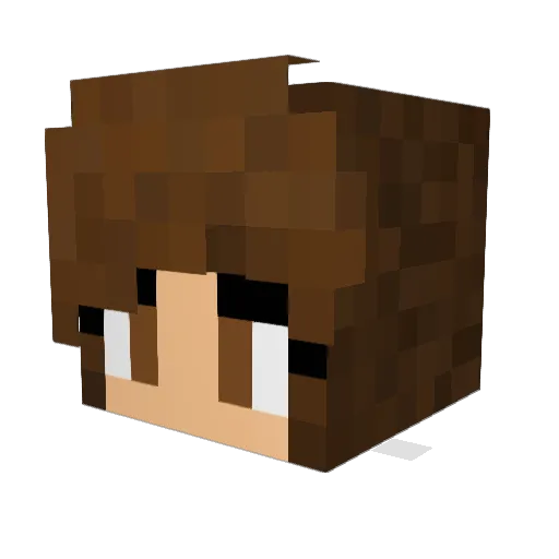 Aidy015 Minecraft avatar head, 3D render