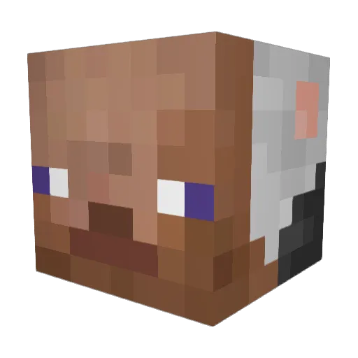 Aidz52 Minecraft avatar head, 3D render