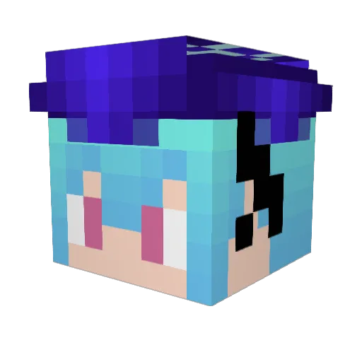 Aierakus Minecraft avatar head, 3D render