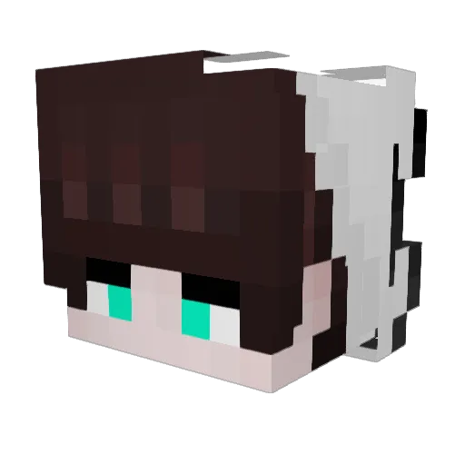Aightbet66 Minecraft avatar head, 3D render