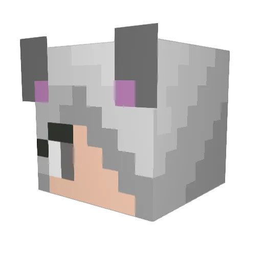 Aiiden13 Minecraft avatar head, 3D render