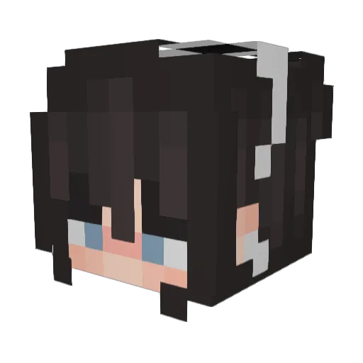 Aiidenly Minecraft avatar head, 3D render