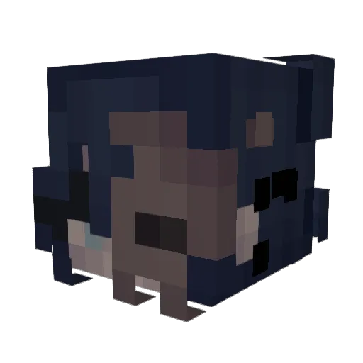 Aiiro_Wun Minecraft avatar head, 3D render