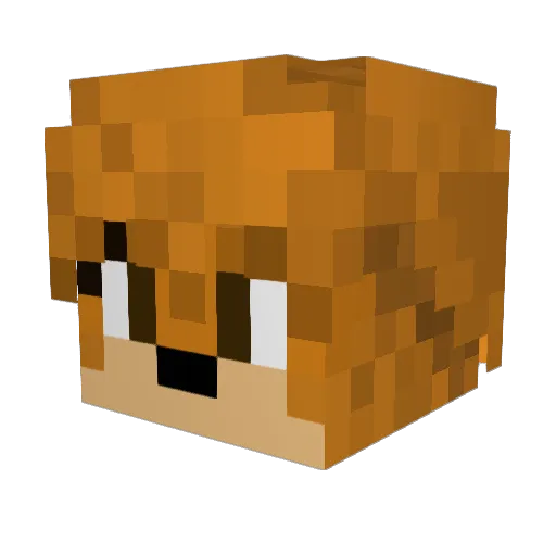Aikayare Minecraft avatar head, 3D render