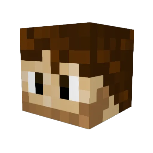 Aike76 Minecraft avatar head, 3D render