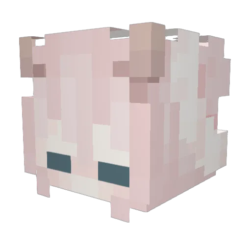Aiko517 Minecraft avatar head, 3D render