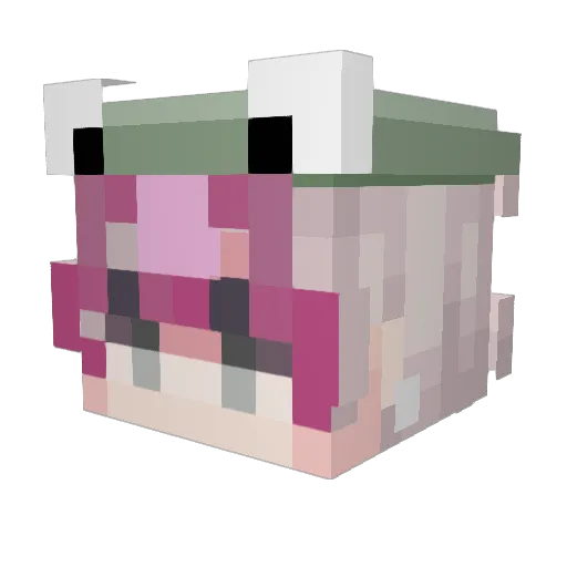 Aiko723 Minecraft avatar head, 3D render