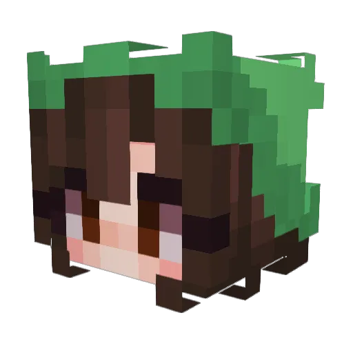 Aiko_420 Minecraft avatar head, 3D render