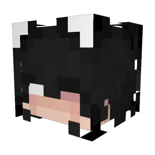 Aikoo2345 Minecraft avatar head, 3D render